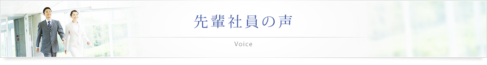 先輩社員の声 Voice